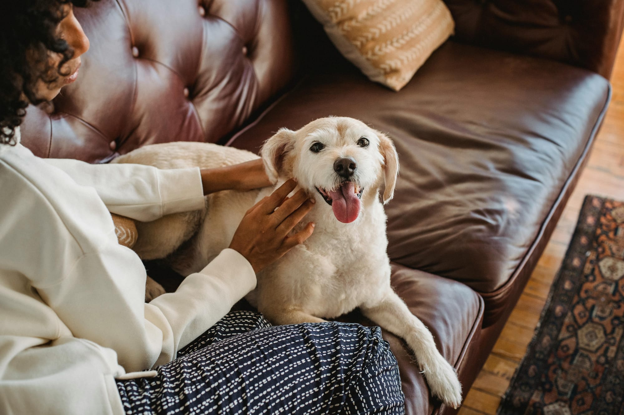 Lady cuddling with dog on couch